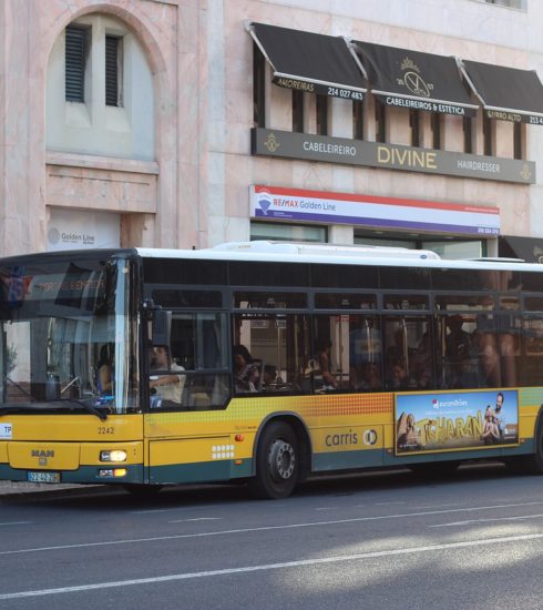 Bus Vehicle Road Street  - AutocarrosDeLisboa / Pixabay