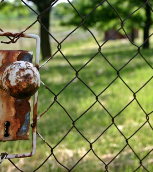 Castle Garden Gate Garden Door  - Catkin / Pixabay