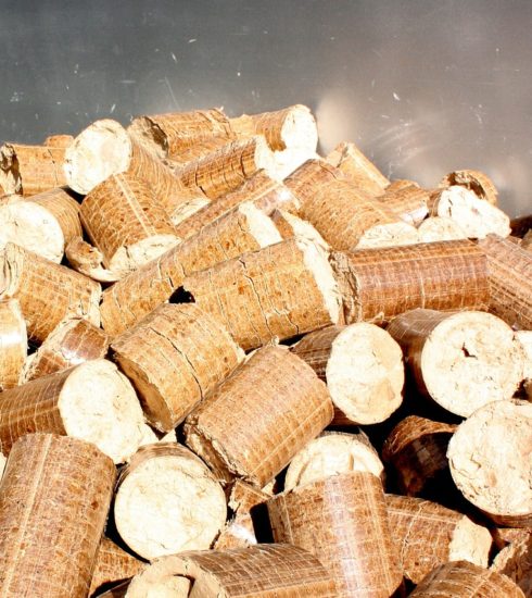 Pellets Briquettes Wood Firewood  - moses / Pixabay