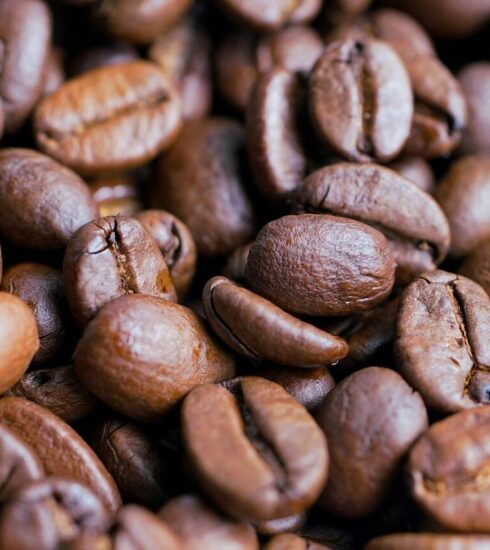 coffee, coffee beans, roasted, pattern, brown